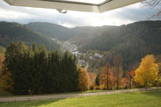 Feißesberghof - Wohnung in der Tenne - Triberg im Schwarzwald - 5