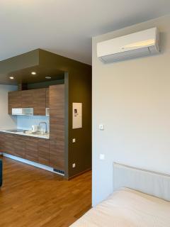 Park Apartments - Druskininkai - 1