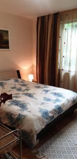 Sol apartaments 3 camere - Târgu-Mureş - 4