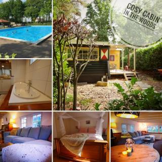 Perfect get away - Cosy Cabin in the Woods - Diessen - 0