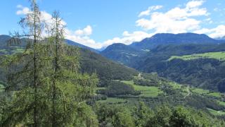 Bio Kräuterhof Oberpalwitter - 5