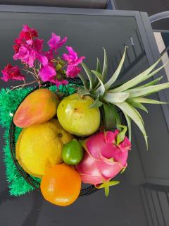 les tiny houses d'akapa - 5