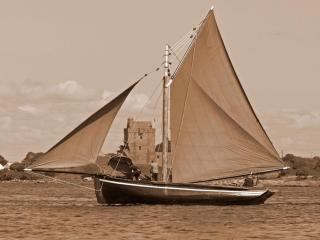 Kinvara Guesthouse - Kinvara - 5