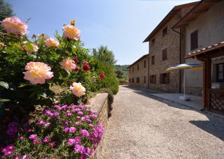 Agriturismo San Severo - Passignano sul Trasimeno - 3