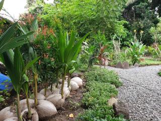 SAME SAME Bungalows - ECO Friendly - Kuta Lombok - 7