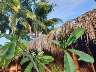 SAME SAME Bungalows - ECO Friendly - Kuta Lombok - 0