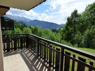 Joli studio, 4 pers, calme, proche commerces et remontées mécaniques, balcon, rénové - FR-1-458-171 - Le Grand-Bornand - 0