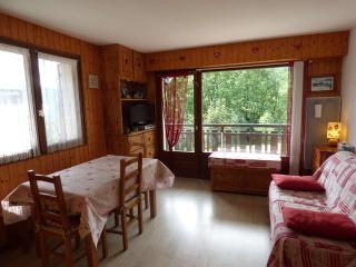 Joli studio, 4 pers, calme, proche commerces et remontées mécaniques, balcon, rénové - FR-1-458-171 - 4