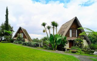 Village Above The Clouds - Bedugul - 0