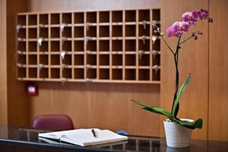 Stalis Hotel - Atene - 4