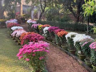 Nibhriti Guest House - Bolpur - 8