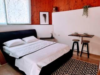 studio in Herzliya, near IDC & PARK - 4