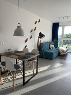 Apartamenty Beskid House - Bielsko-Biała - 8