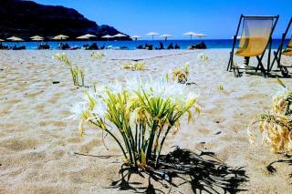 Annamaria Sea Side View Studio- 25m From The Beac - Plakias - 0