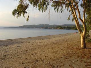 STAR PARADISE Studios - 1