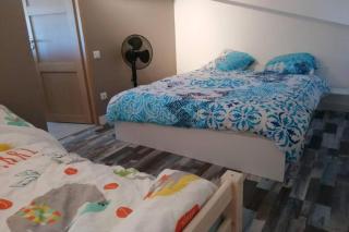 Splendide appartement vue océan le Penon - 1