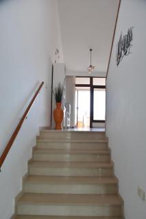 ELSA TAURO TOPAZ - 4