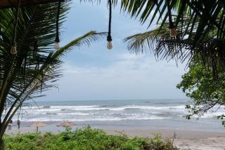 Amadi Beach Front Resort - Mandrem - 3