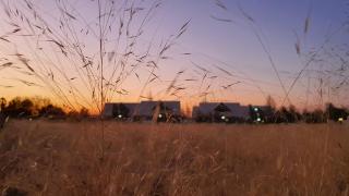 Eldorado Lodge CC - 3