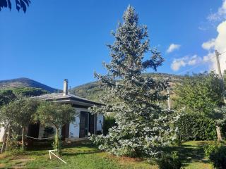 Casetta in Collina - Sezze - 9