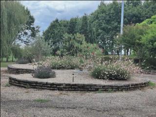 Auvillar: gîte au calme en pleine nature 2/4pers - Saint-Loup - 4