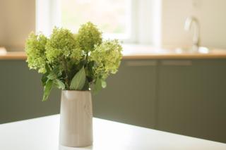 Ferienwohnung Schwalbennest - 7