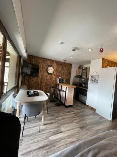 Superbe studio de montagne entièrement rénové - Morzine - 0