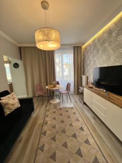 Apartament Wilkońskiego - Inowrocław - 4