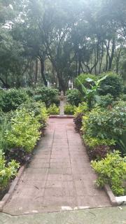 Charming sunny bedroom overlooking beautiful Amsterdam Avenue in best Condesa area - Città del Messico - 7