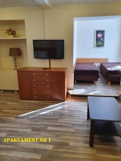 Centrum Noclegowe Apartament 1 - Bydgoszcz - 1