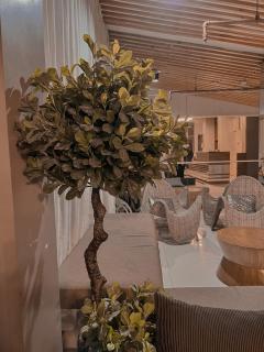City View at The Persimmon Studios - Cebu City - 5