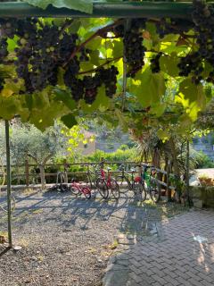 Rocca di Corno Guest House - Finale Ligure - 7