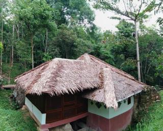 Orangutan Bungalow - Bukit Lawang - 8