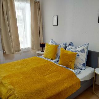 Gemütliche Wohnung mit Küche und Netflix - Klingenthal - 8