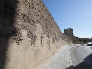 La muralla de Sevilla - Sevilla - 3
