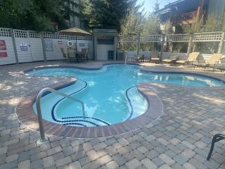 Sweet Ski-In Ski-Out Snowflower Studio condo - 9