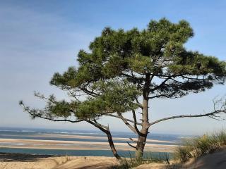 Maison d’hôte neuve : T2 pour 4 voyageurs - 3