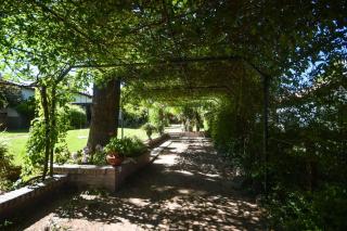 Familia Luchetti - 3