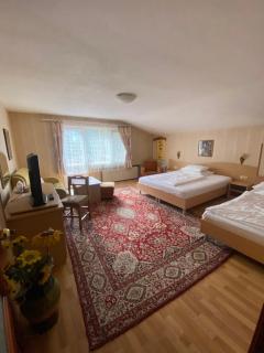 Family Hotel Zdravets - Sofia - 4