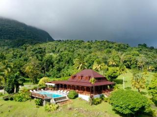 Jardin Malanga - Basse-Terre - 0