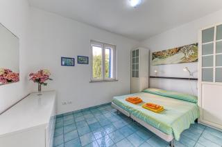 L'ulivo di Novaglie - 2