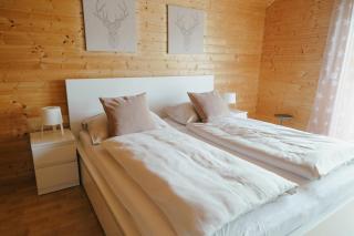 Ferienwohnung Karawankenblick - 1