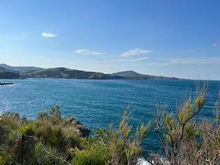 La Villa B - Banyuls-sur-Mer - 6