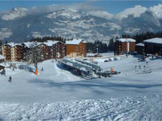Charmant appartement 2 chambres au pied des pistes avec balcon, idéal pour 6 personnes à Morillon - FR-1-642-21 - 6