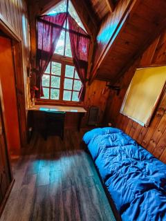 Cabaña La Tranquila - San Martín de los Andes - 4