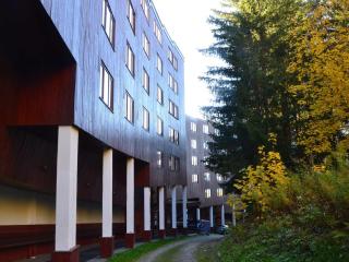 Appartement cosy 2 pièces, 6 pers, proche pistes et commerces - Wifi - Parking - FR-1-411-174 - Arc 1800 - 8