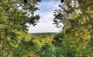 Cozy cabin with mountain views and easy access to all attractions - Gatlinburg - 9