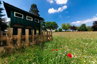 Hotel Forstmeister - 1