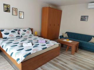 Apartmani MALINA - Vrnjačka Banja - 3