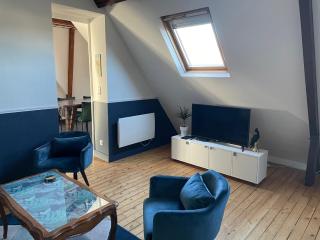 L'Appart'Mans, luxueux, spacieux, bien situé - Le Mans - 5